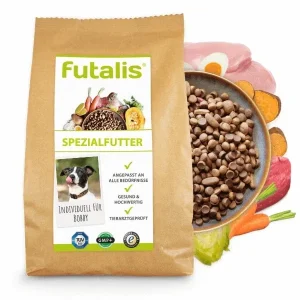 Spezialfutter für Hunde: Hunde Spezialnahrung
