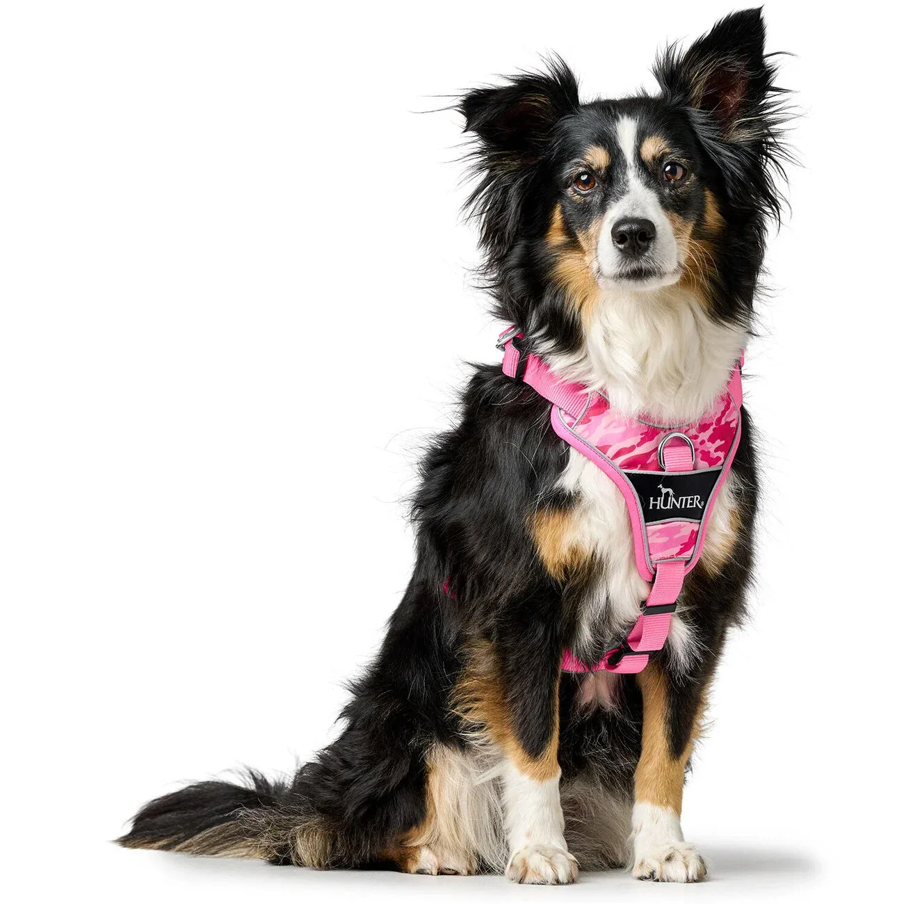 Hundegeschirr Divo Camouflage - Image 2