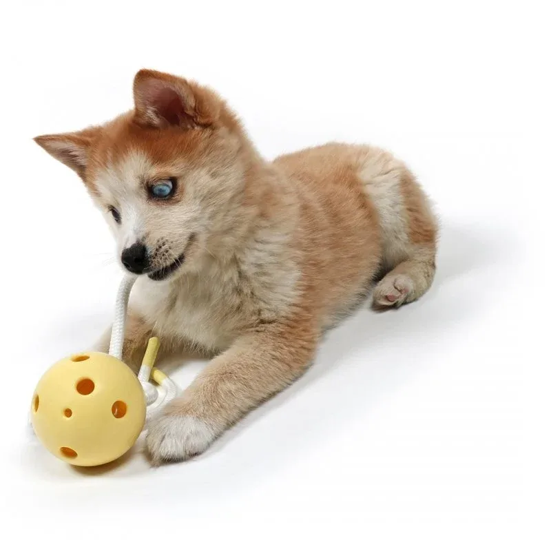 Hundekauspielzeug Milo für die Zahnreinigung - Image 2