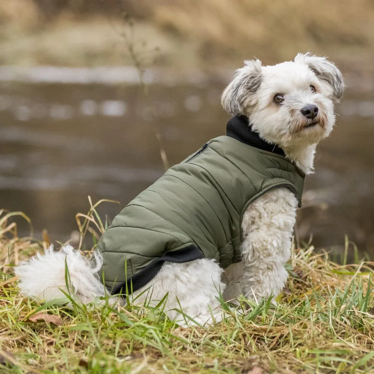 Hundemantel Arlay wasserabweisend - Image 2