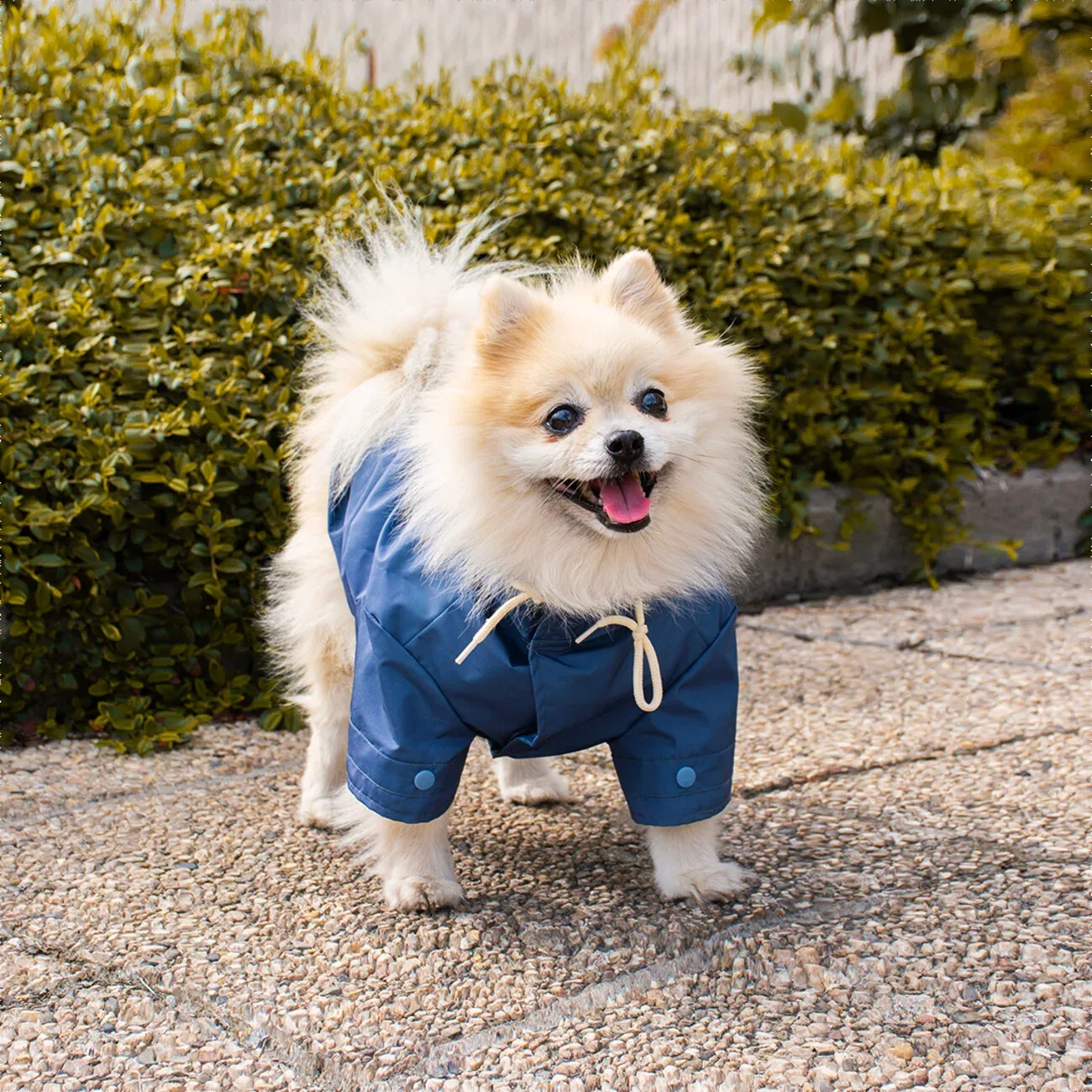Hundemantel Parka - Image 2