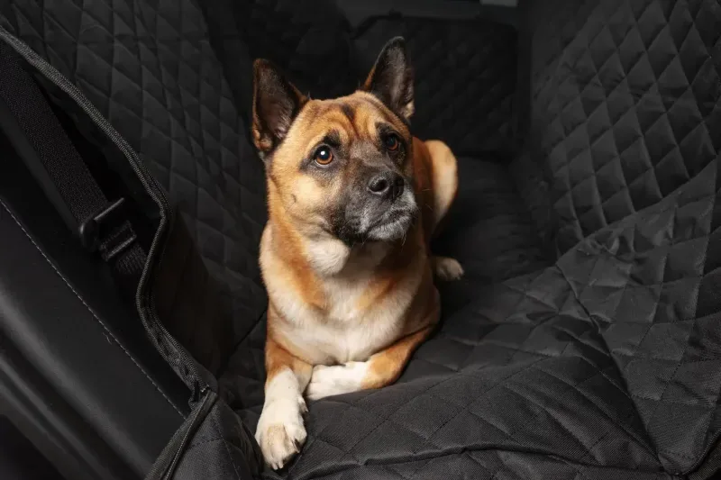 Hundematte für alle Tesla Modelle Autodecke Rücksitz in Silber - HaustierPro