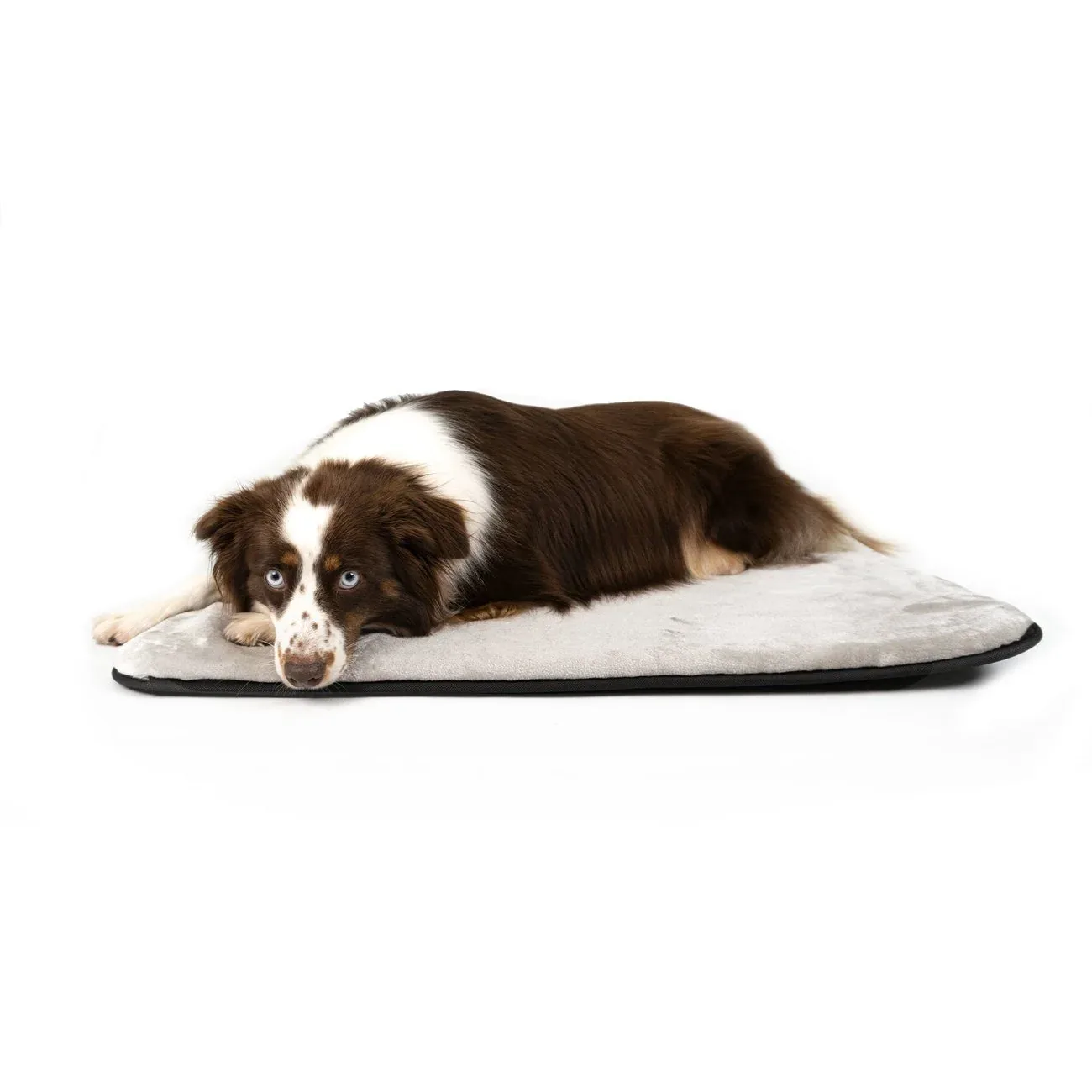 Hundematte Mille - Image 2