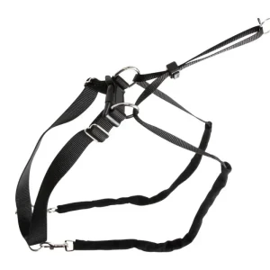 Hundesele Maxi Leader - Hals 30-45cm Ohne künstliche Aromen - HaustierPro