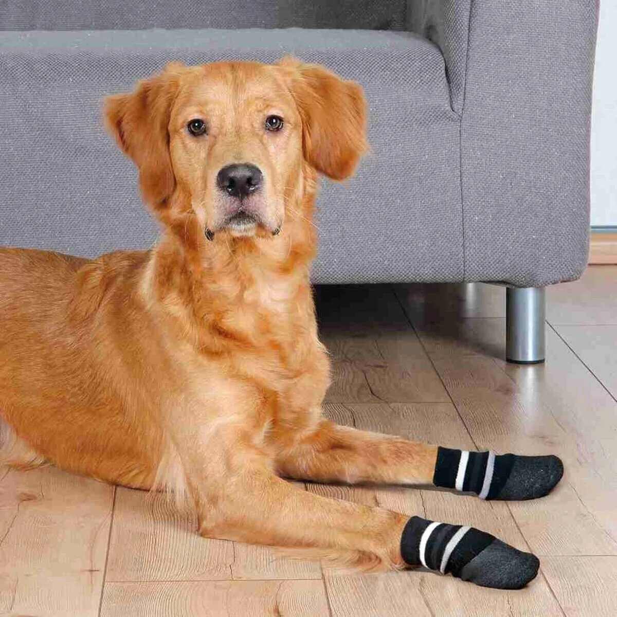 Hundesocken Anti Rutsch - Image 2