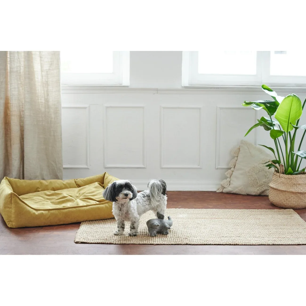 Hundesofa Eiby - Image 2