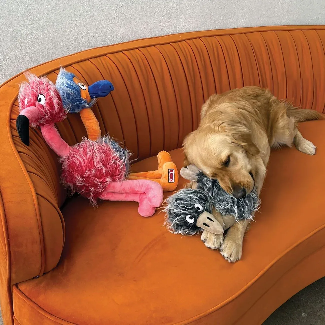 Hundespielzeug Comfort Jumbo Birds - Image 2