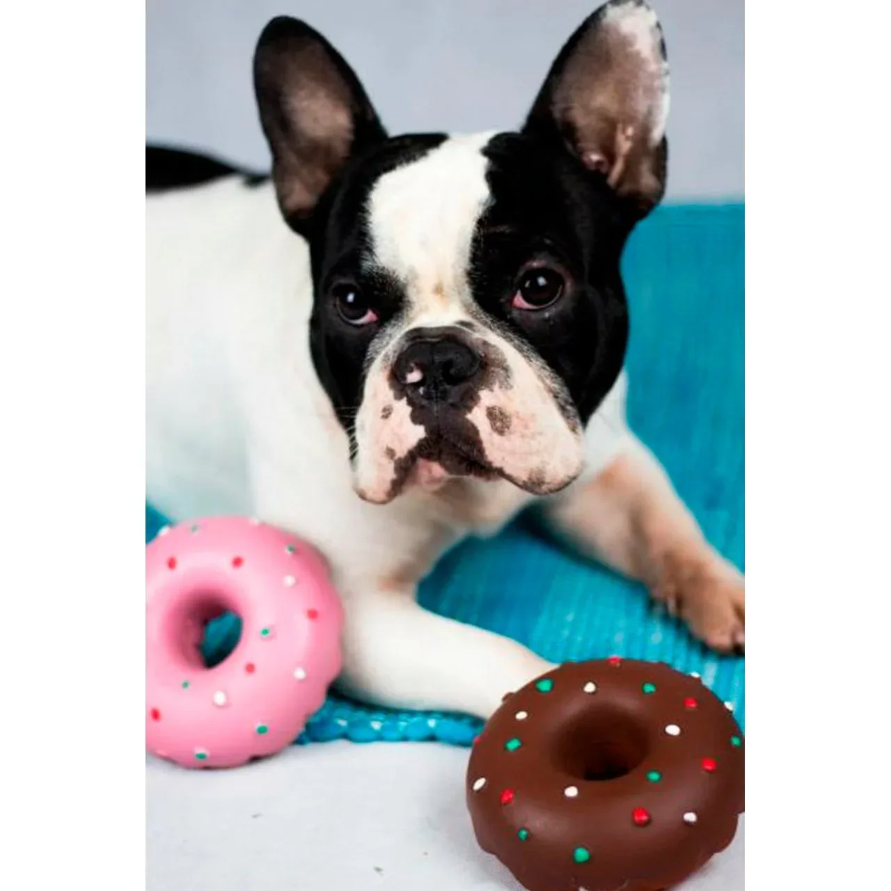 Hundespielzeug Doggy Donut aus Latex - Image 2