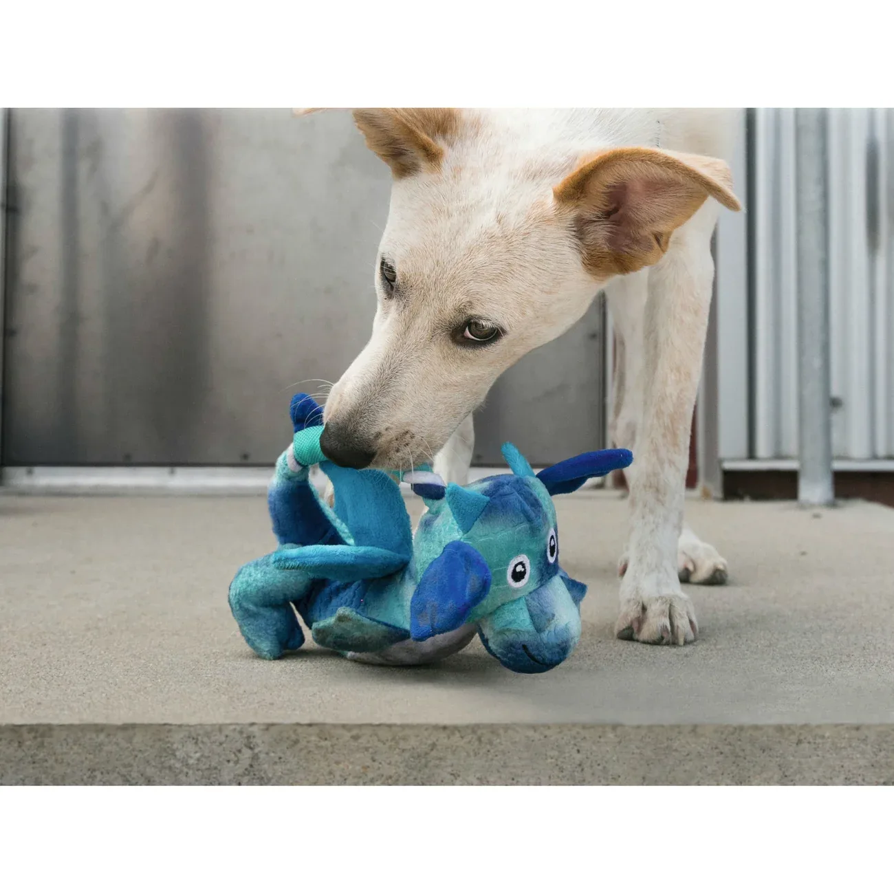 Hundespielzeug Dragon Knots - Image 2