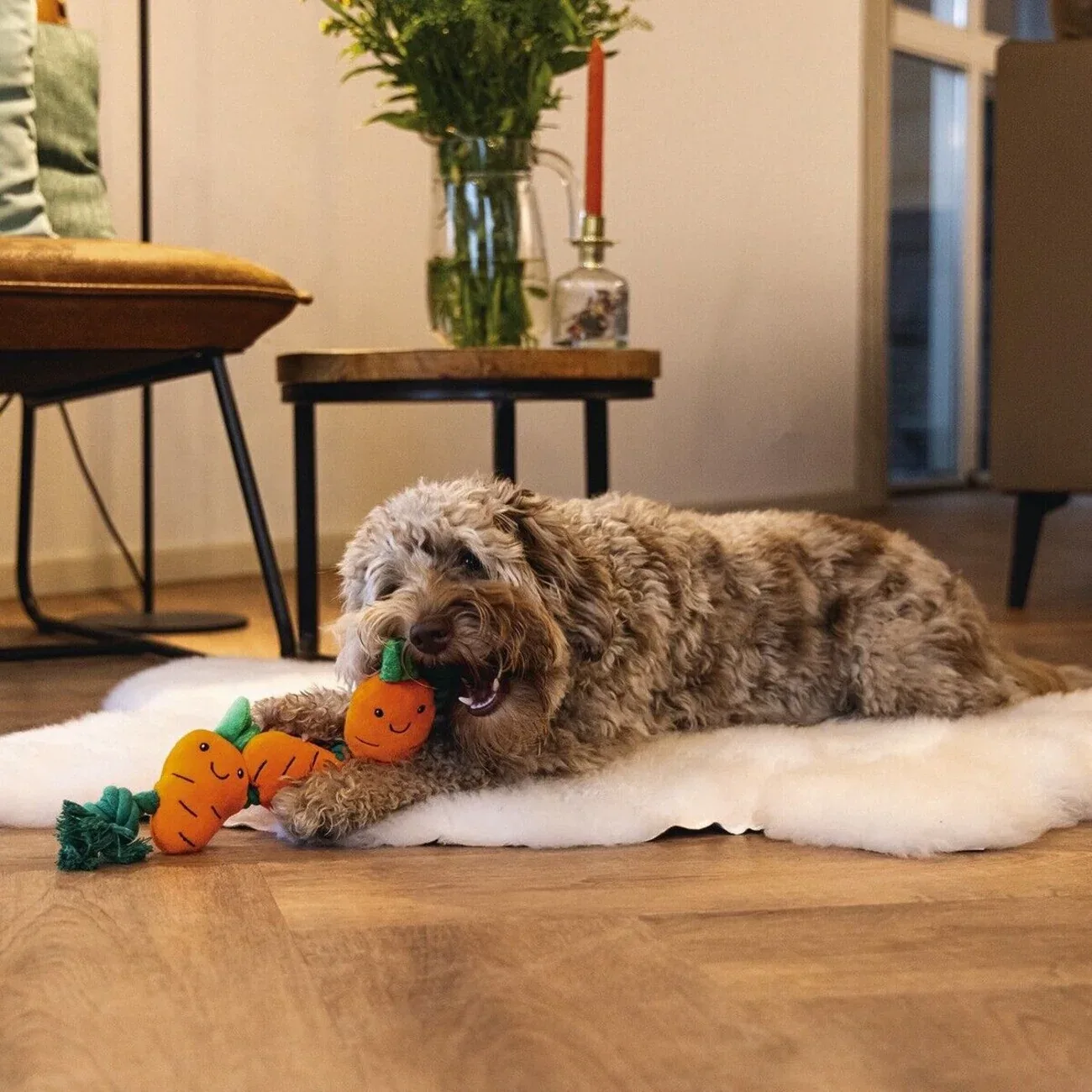 Hundespielzeug Osterkarotte mit Baumwollseil - Image 2