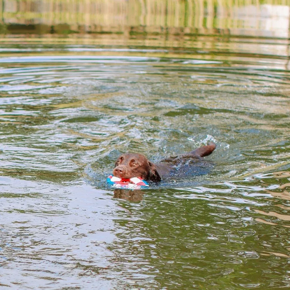 Hundespielzeug Rettungsring mit Seil Floating - Image 2