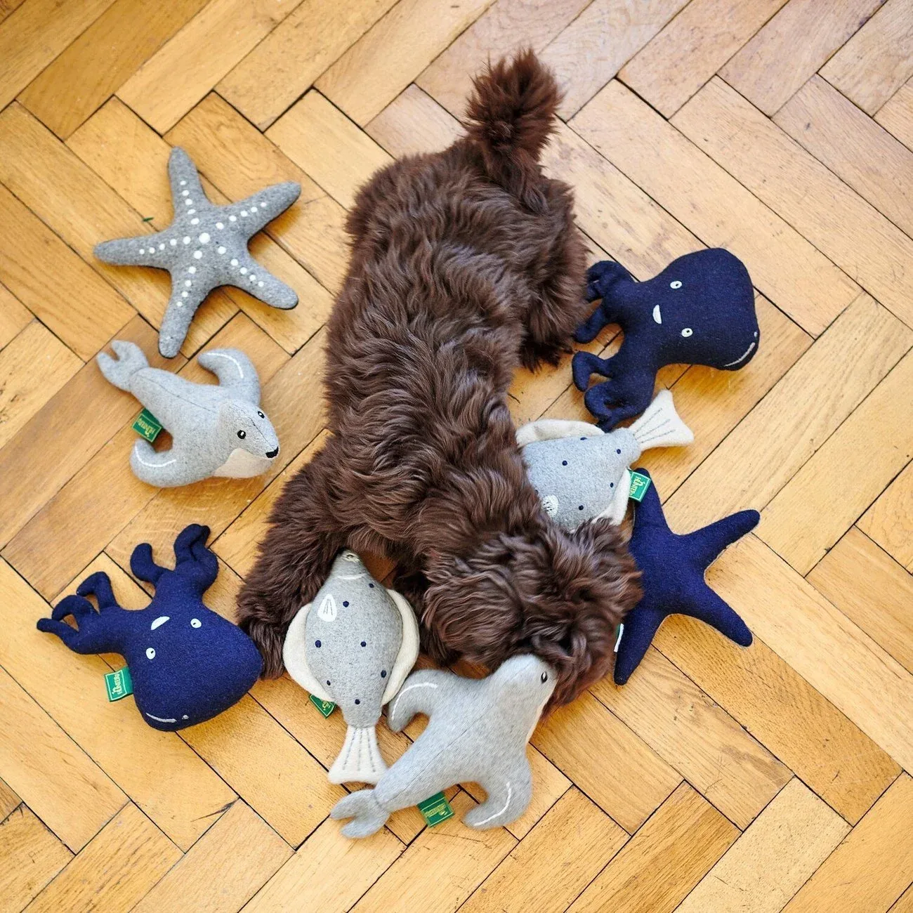 Hundespielzeug Skagen - Image 2