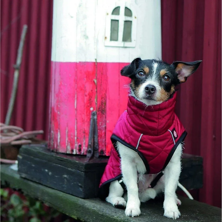 Hundewintermantel Minot - Image 2