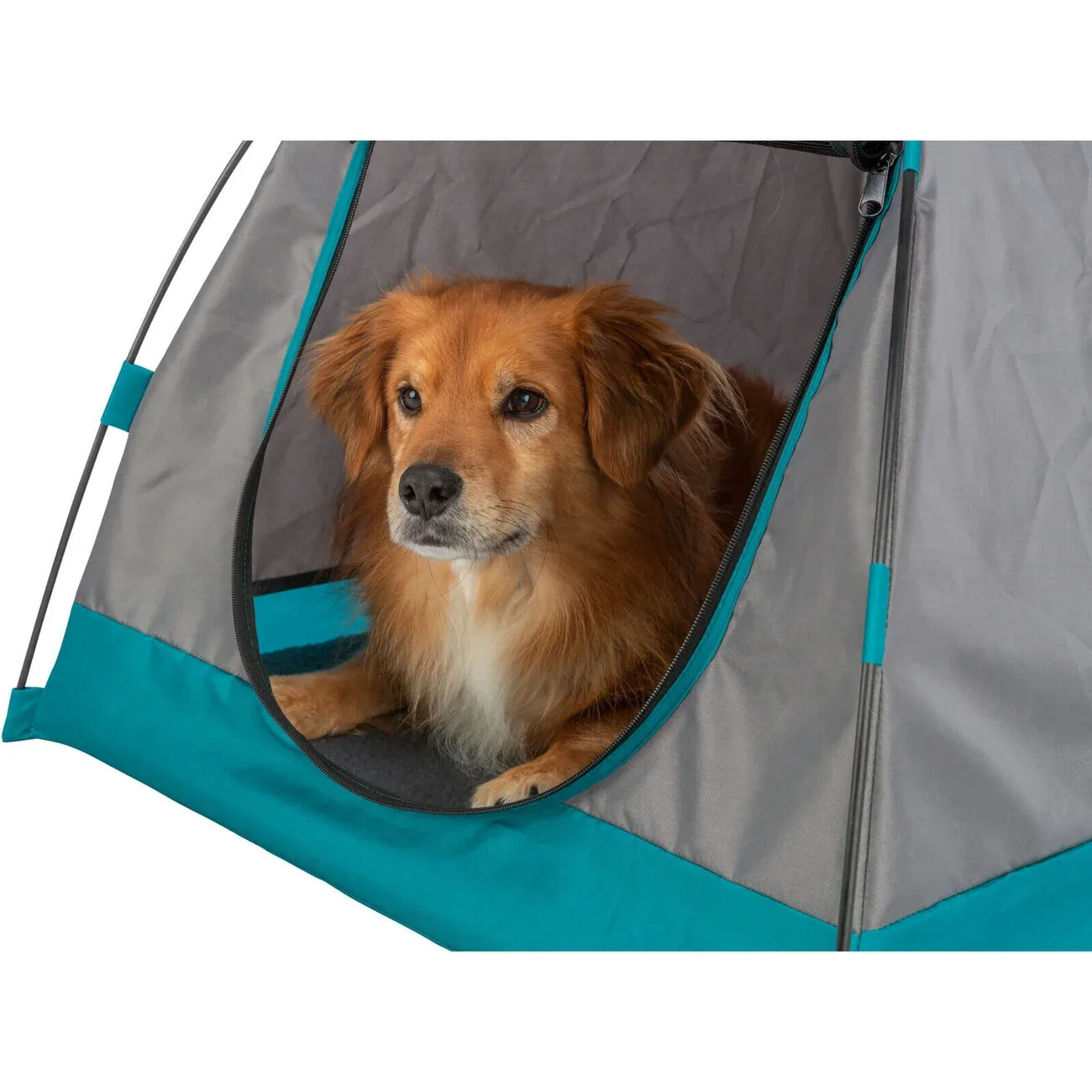 Hundezelt - Image 2