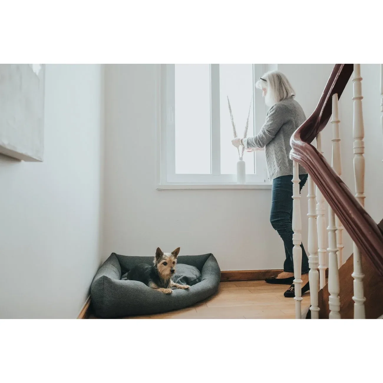 Hunter Hunde-Ecksofa Livingston - Image 2