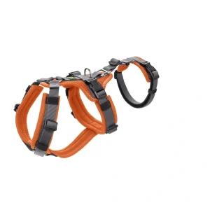 HUNTER Hunde Sicherheitsgeschirr Maldon orange, grau XS | DAS FUTTERHAUS