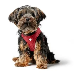 HUNTER Hundegeschirr Love Größe: XXS-XS, Farbe: rot, Halsumfang: 30 - 34 cm, Brustumfang: 32 - 36 cm