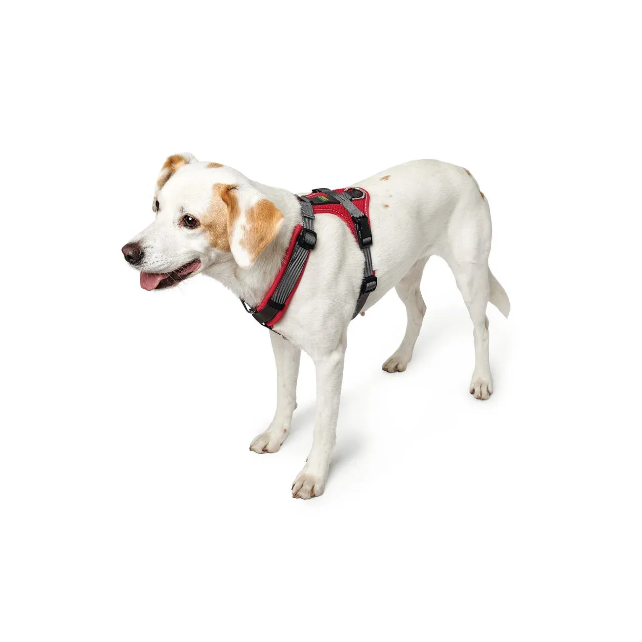 Hunter Hundegeschirr Maldon gepolstert - Image 2