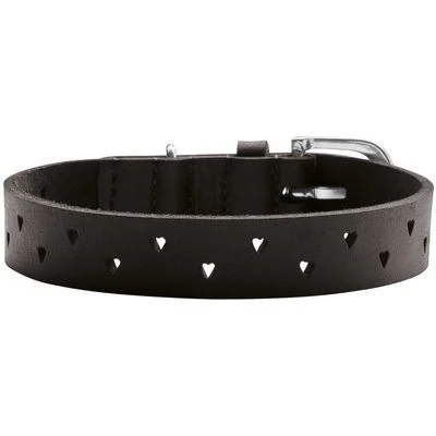 HUNTER Hundehalsband Aalborg soul Größe: XXS-XS, Farbe: schwarz, Halsumfang: 16 - 20 cm, Breite: 1,5 cm