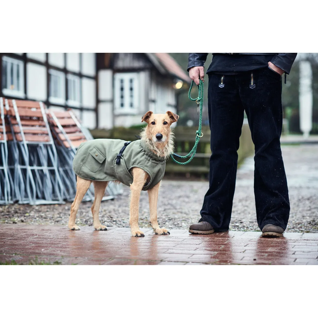 Hunter Hundemantel Uppsala Trend - Image 2