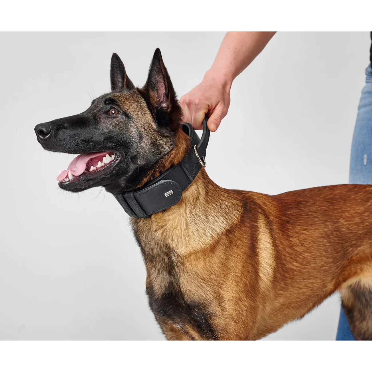 Hunter Trainingshalsband mit Griff Larvik - Image 2