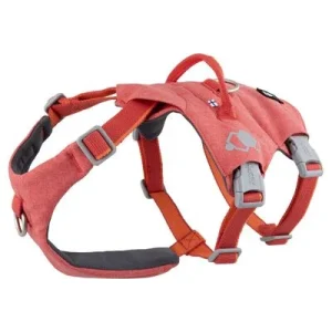 Hurtta Safeguard Geschirr strawberry (rot) Verstellmöglichkeit: 45-60 cm