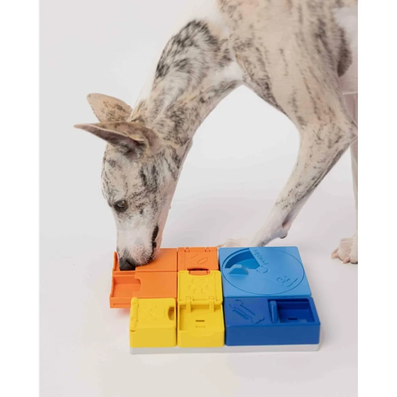 Interaktives Hunde Leckerlie Spielzeug mit individuellen Kombinations Möglichkeiten - Image 2