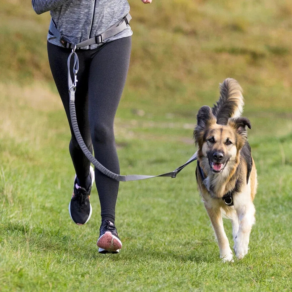 Joggingleine mit Bauchgurt für Hundehalter - Image 2