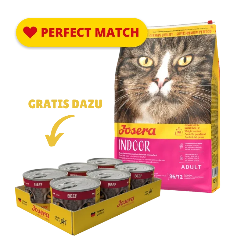 Josera Cat Indoor 10 kg + GRATIS Josera Cat Beef 6 x 200 g - Image 2
