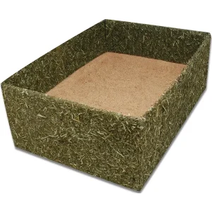 JR Farm Back to Instinct Buddel-Box beige, grün | DAS FUTTERHAUS