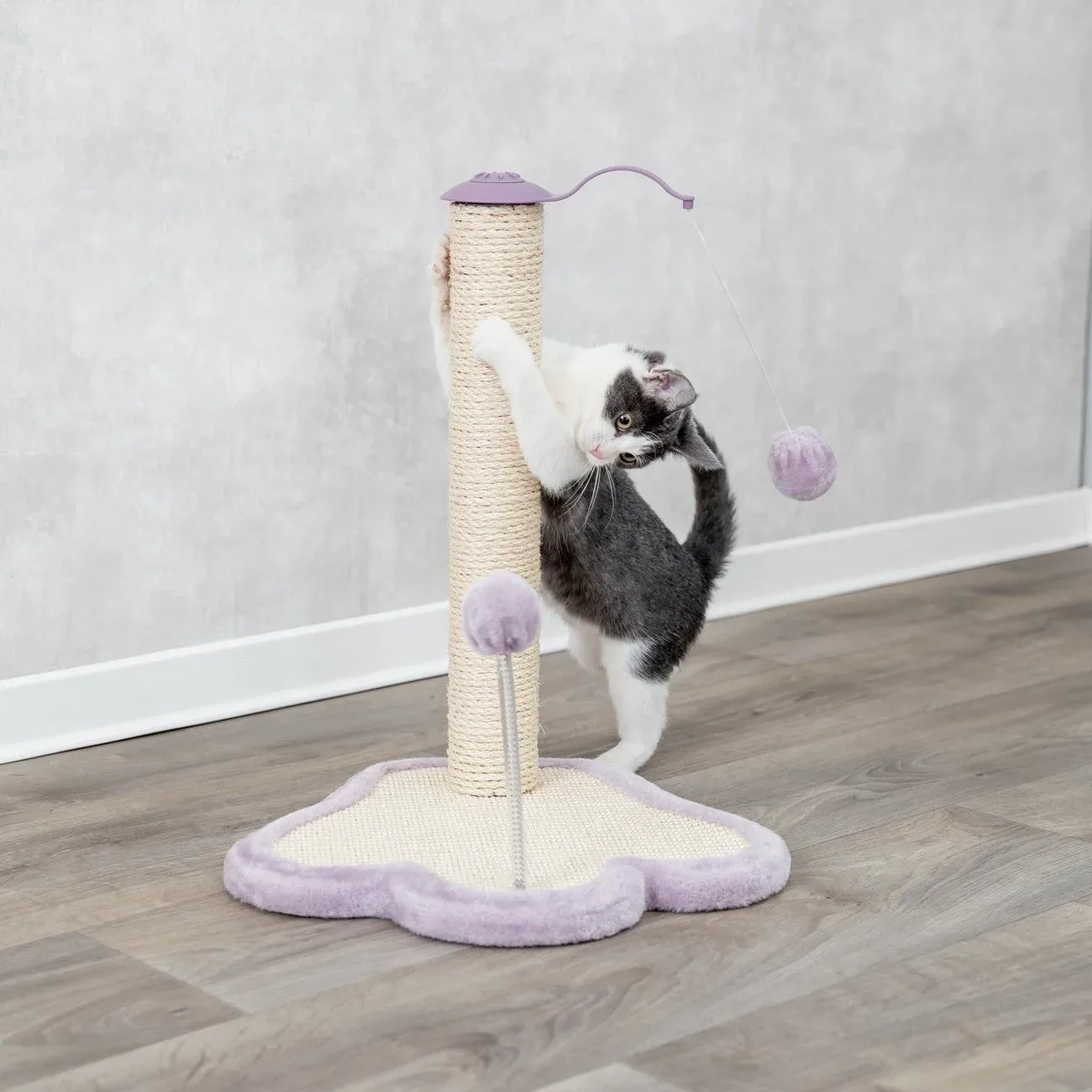 Junior Kratzpfote mit Stamm für Kitten - Image 2