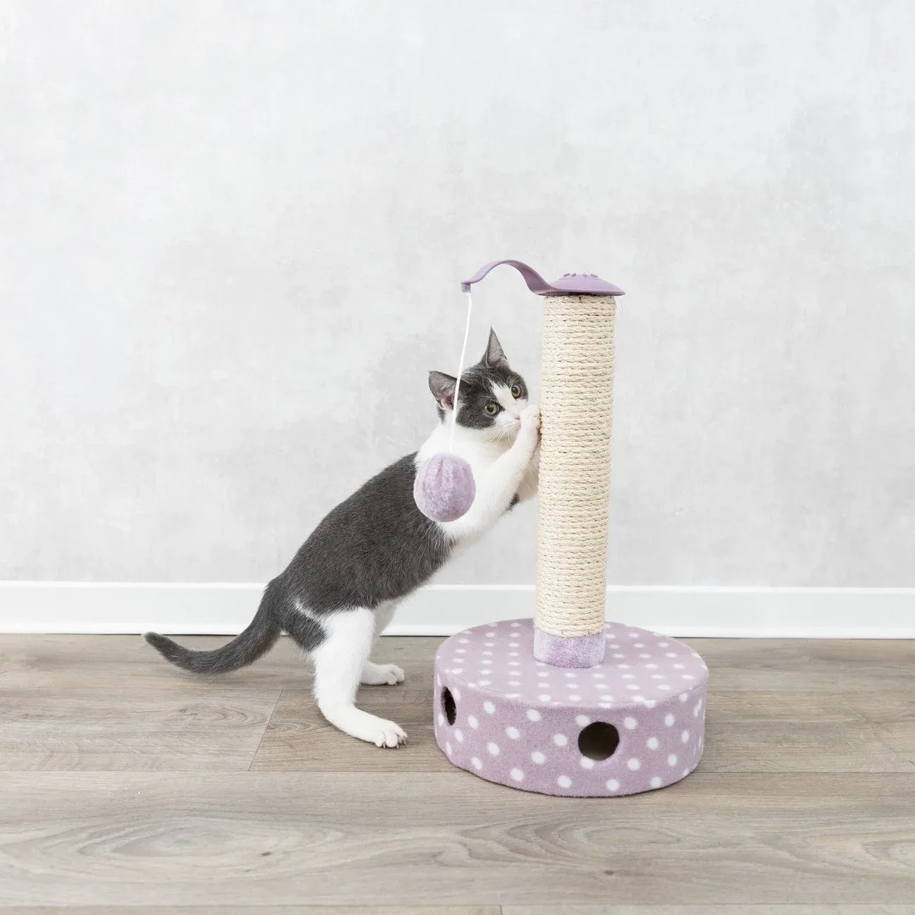 Junior Kratzstamm mit Spielzeug für Kitten - Image 2
