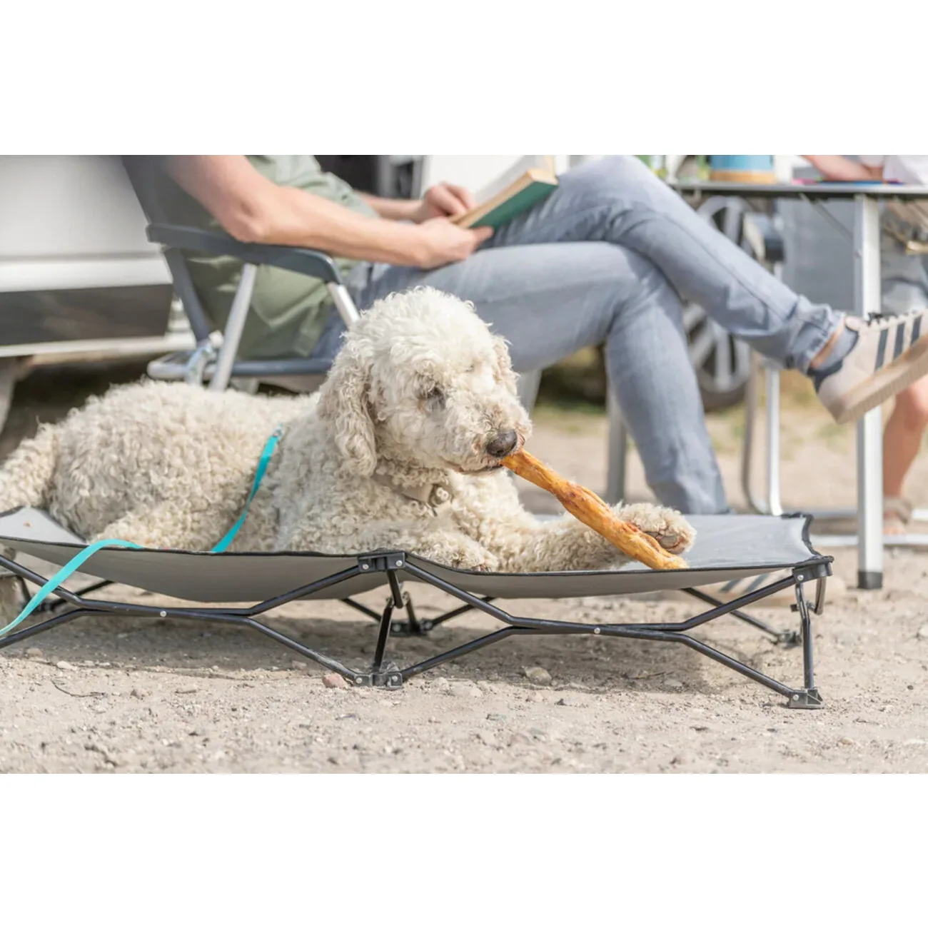 Kaninchenhautrolle mit Fell, 45–50 cm - Image 2