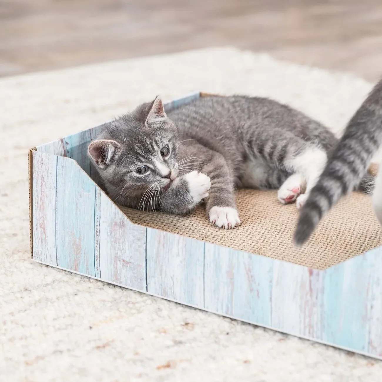 Katzen Kratzbett in bunter Holzoptik - Image 2