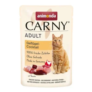 Katzen Nassfutter Carny Adult in Tütchen