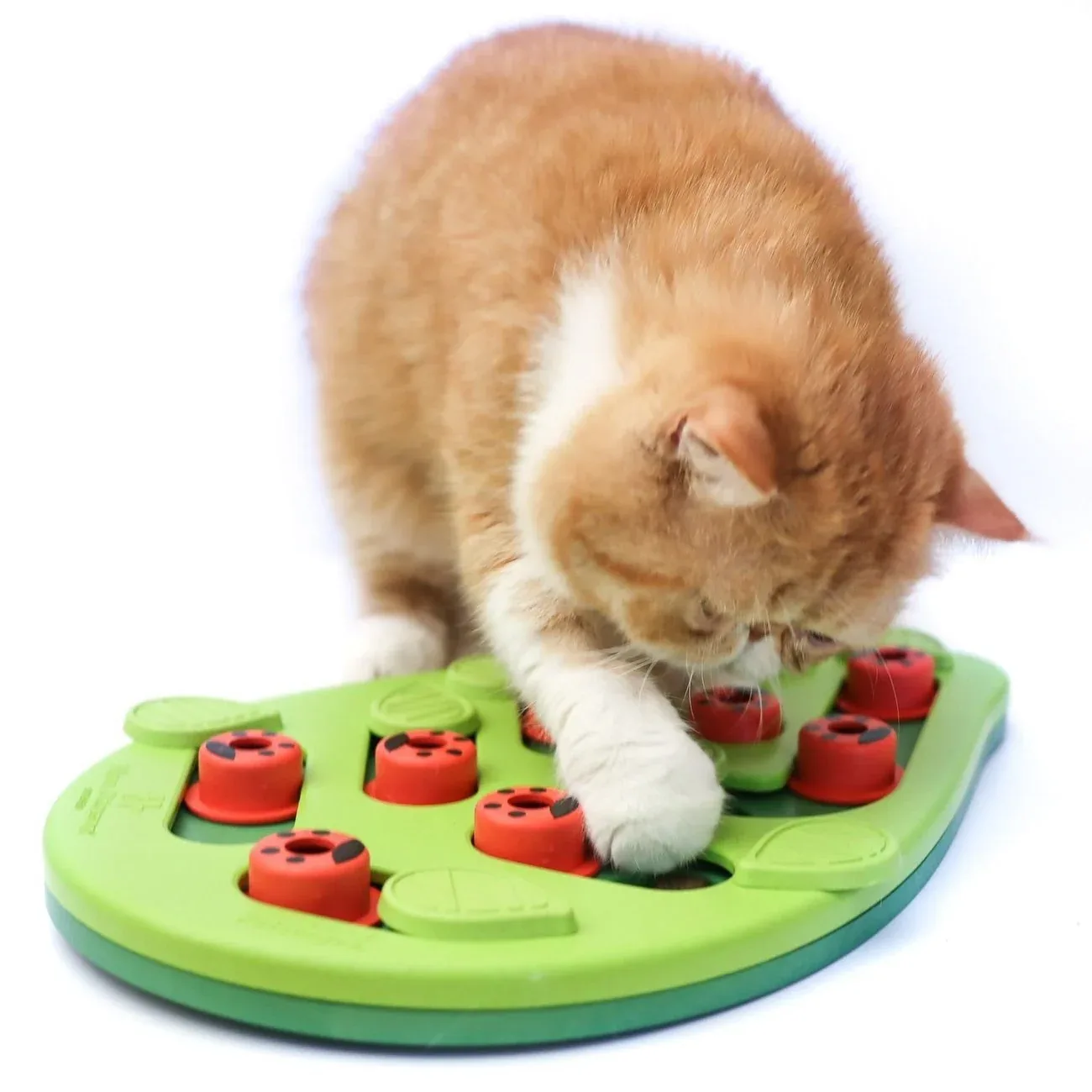 Katzen Snackspielzeug Blatt - Image 2