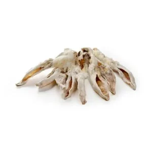 Kauartikel.com Kaninchen-Ohren mit Fell Premium Qualität 100g
