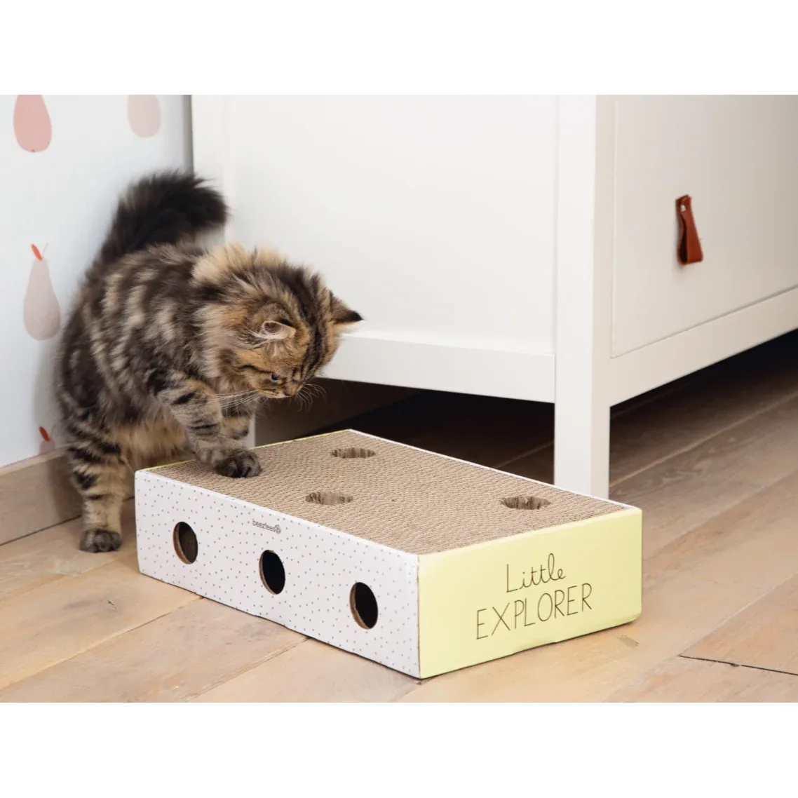 Kitten Kratzbox Riva - Image 2