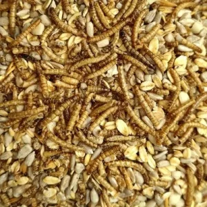 KLASEBO Deluxe Wildvogelfutter mit Mehlwürmern, schalenlos 20 kg
