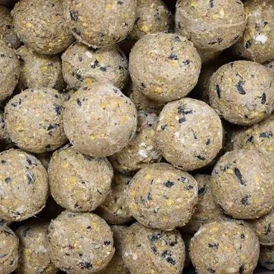 KLASEBO Premium Meisenknödel mit Insekten ohne Netz 100 x ca. 90 g