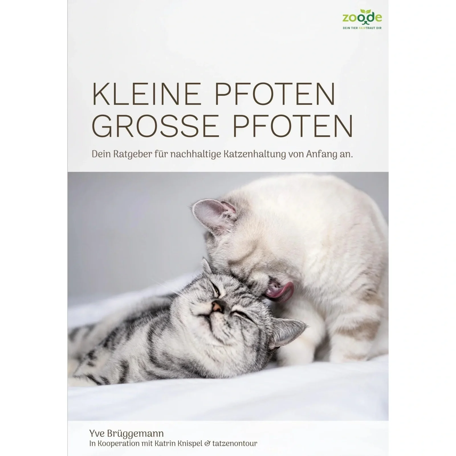 Kleine Pfoten, Große Pfoten - Katzenratgeber (eBook)