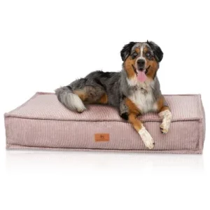 Knuffelwuff Hundekissen Lesedi aus Cord mit Handwebcharakter 80x60cm Rosa