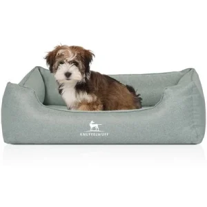 Knuffelwuff Orthopädisches Hundebett Luisa aus Velours Sunshine Edition