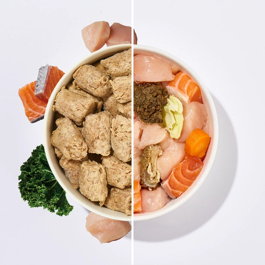 Köttbullar Huhn & Lachs mit Pansen - Image 2