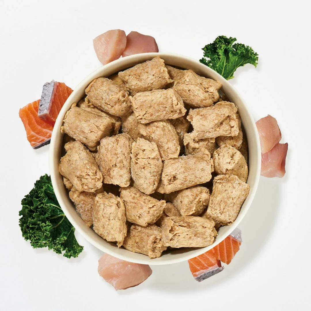 Köttbullar Huhn & Lachs mit Pansen