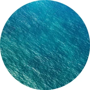 Komar - Deko Sticker - DOTS - Calm mit Gravur - HaustierPro