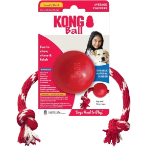 KONG Ball mit Seil