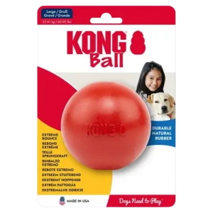 KONG Ball With Hole