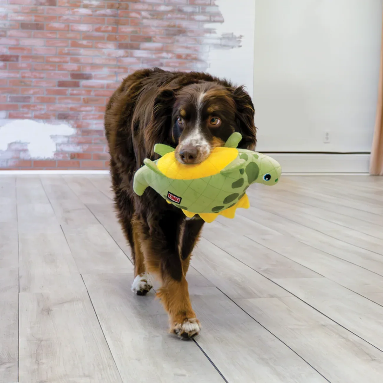 KONG Dynos Roars – Plüsch-Dino-Hundespielzeug mit übergroßem Quietscher | Apportieren & Zerren - Image 2