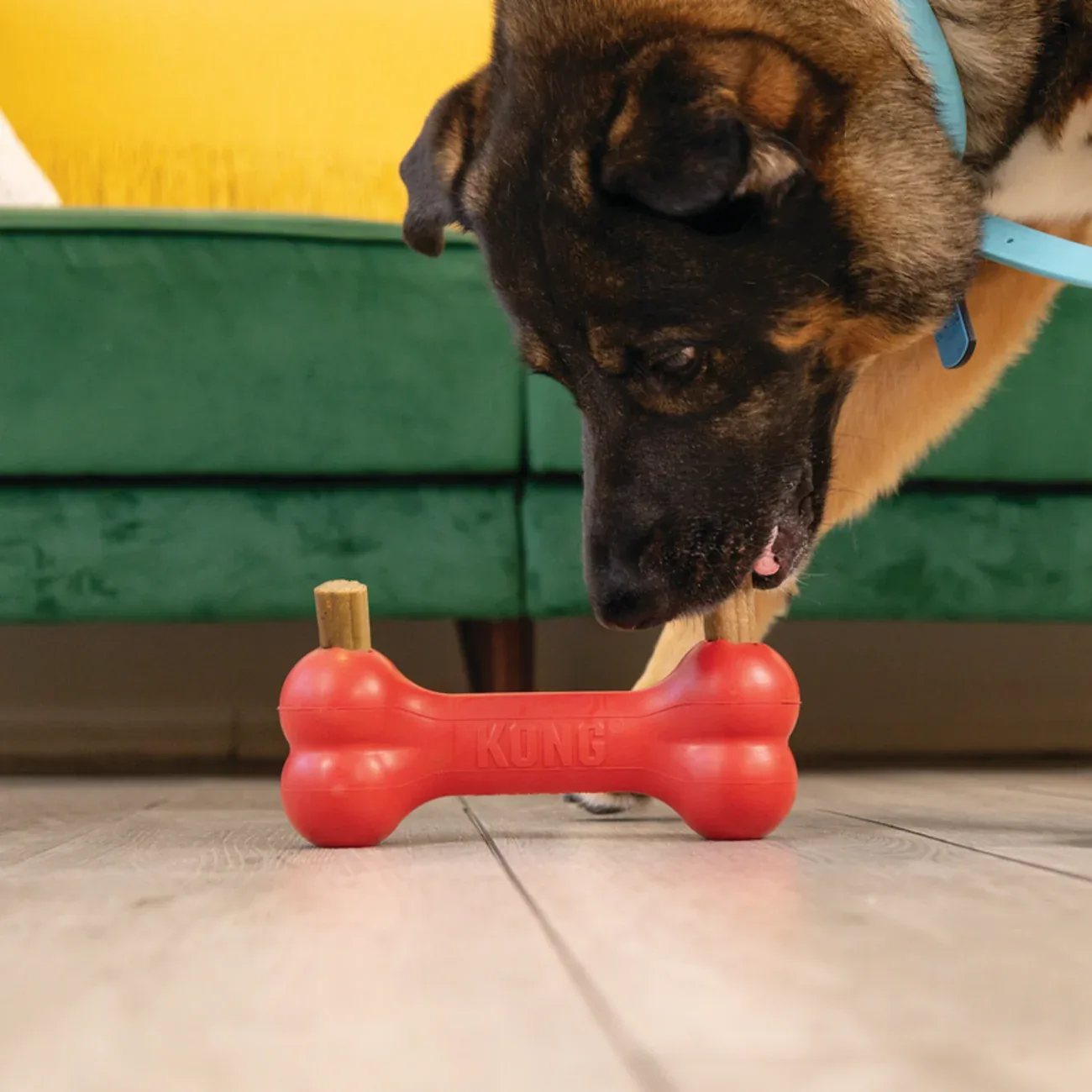 KONG Enhanced Ziggies – Kaustangen für Hunde mit Meeresalgen | zahnpflegend | S & M/L - Image 2